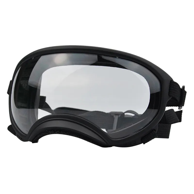 Outdoor Dog Sport Glasses in Black transparent