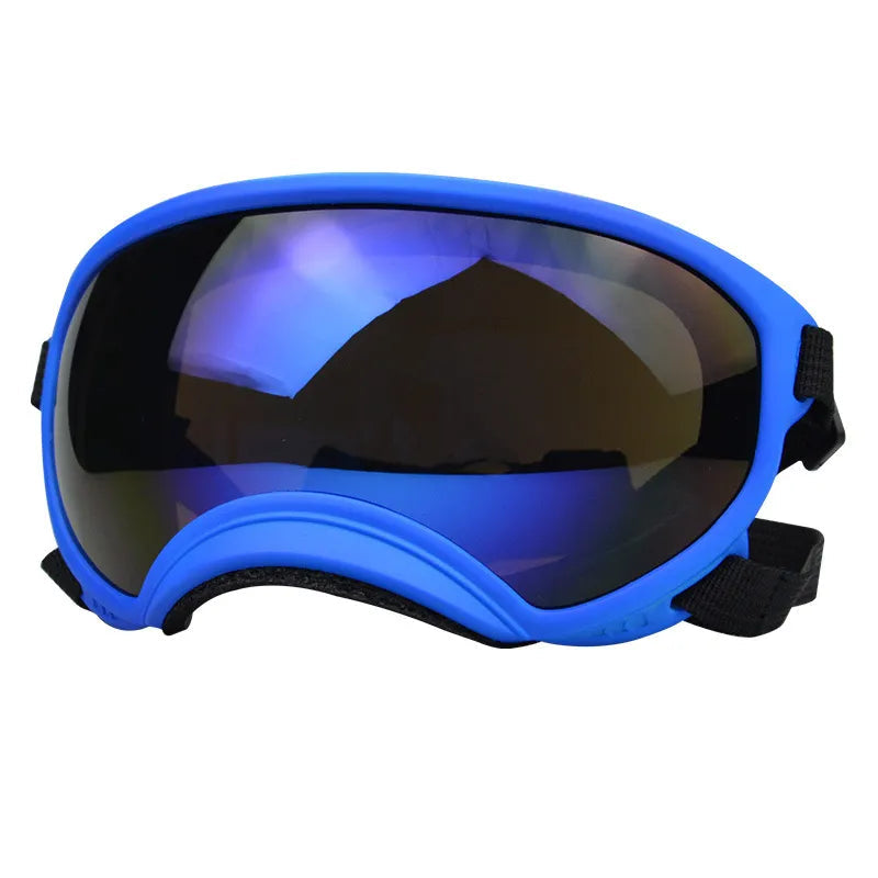 Outdoor Dog Sport Glasses in Blue bue