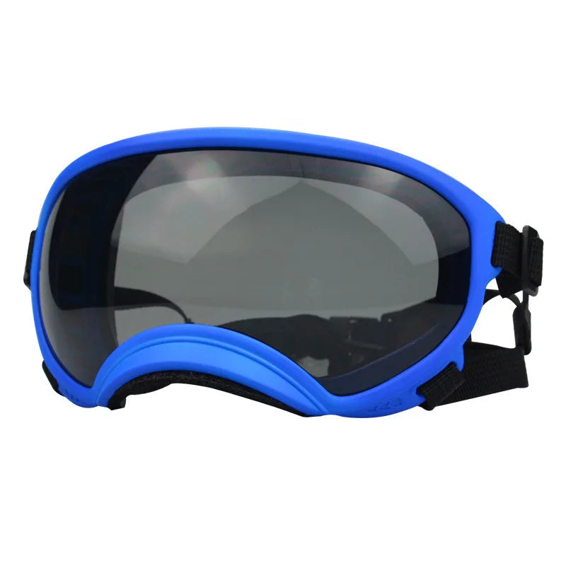 Outdoor Dog Sport Glasses in Blue gray