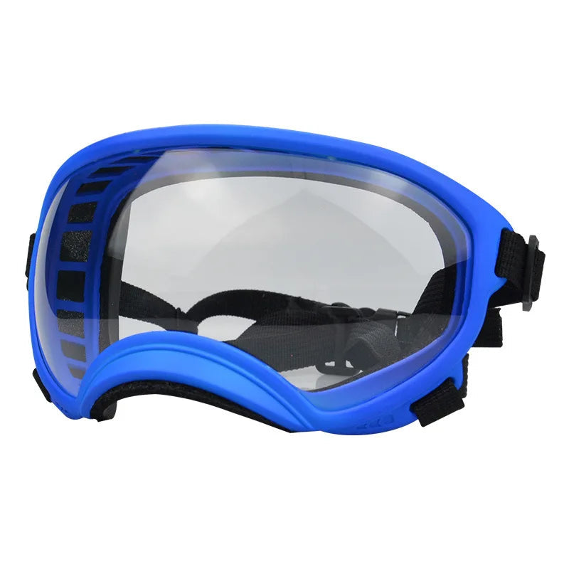 Outdoor Dog Sport Glasses in Blue transparent