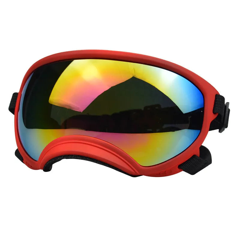Outdoor Dog Sport Glasses in Red red