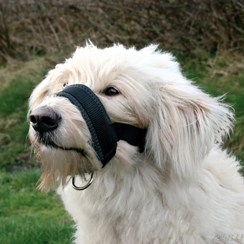 The Padded Dog Head Collar is made of high-quality nylon, lined with foam padding, and features durable stainless steel hardware, ensuring both comfort and longevity.