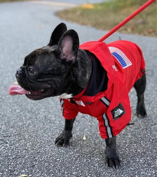 paw-tex-red-america-the-dog-face-french-bulldog