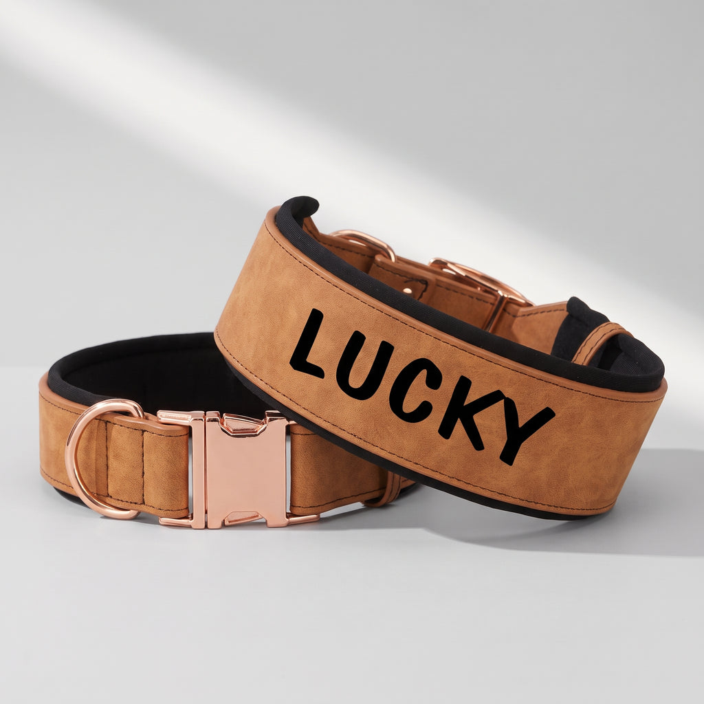 Personalized Dog Collar With Name, studio photo on a light grey background