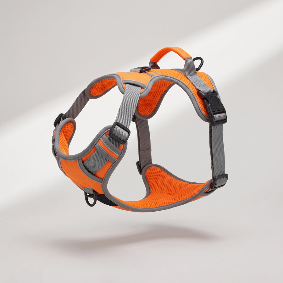 Type: Vest Harnesses
