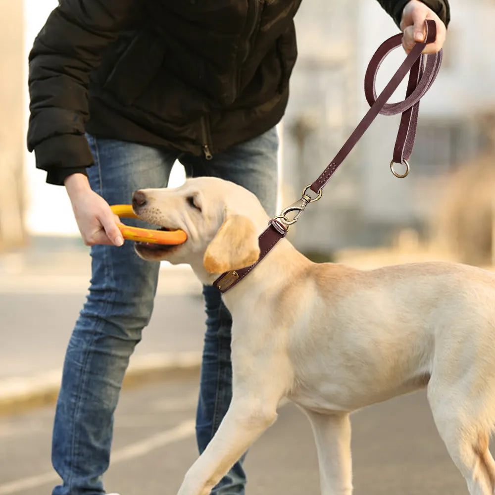 Personalized Leather dog Collar