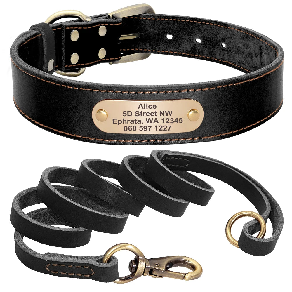 Personalized Leather dog Collar in Black