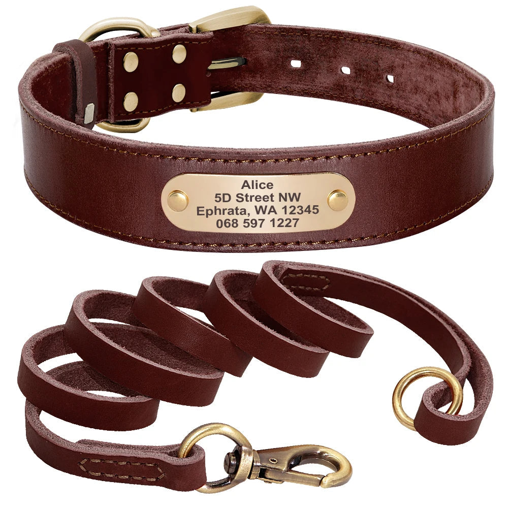 Personalized Leather dog Collar in Brown