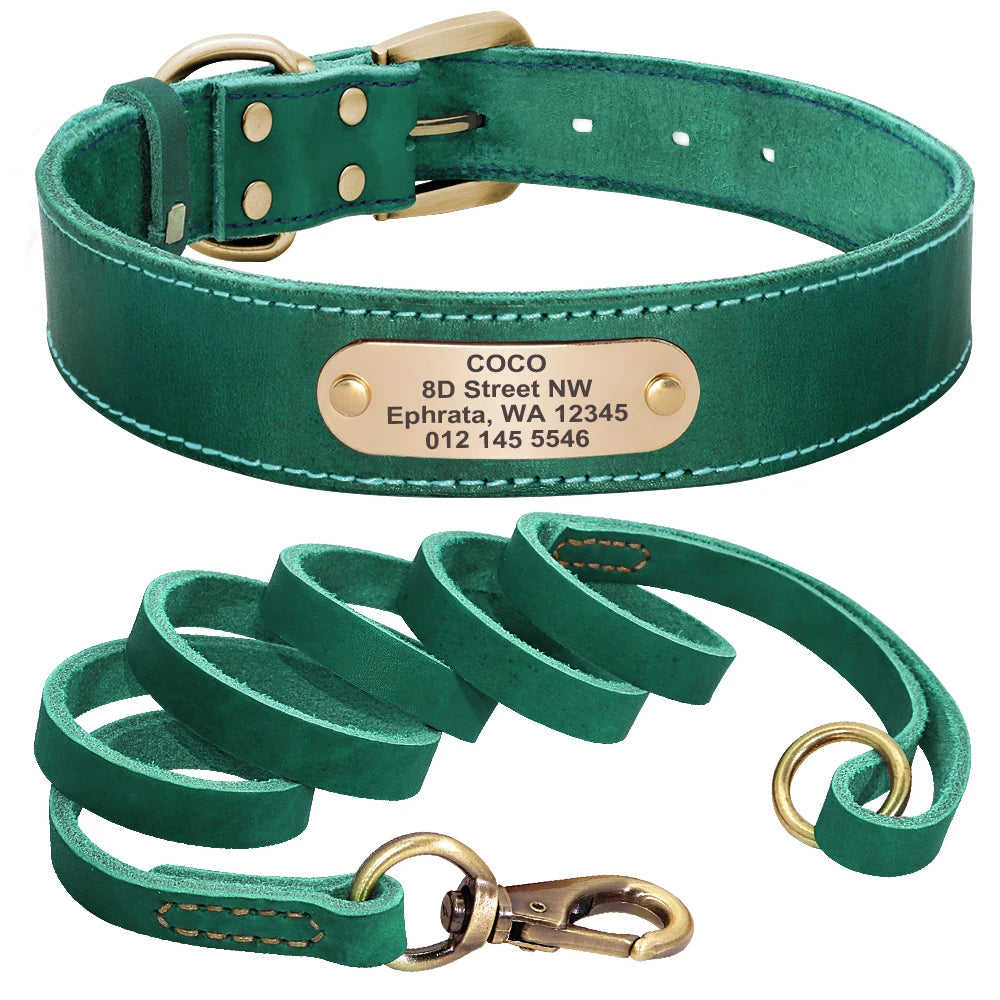 Personalized Leather dog Collar in Green