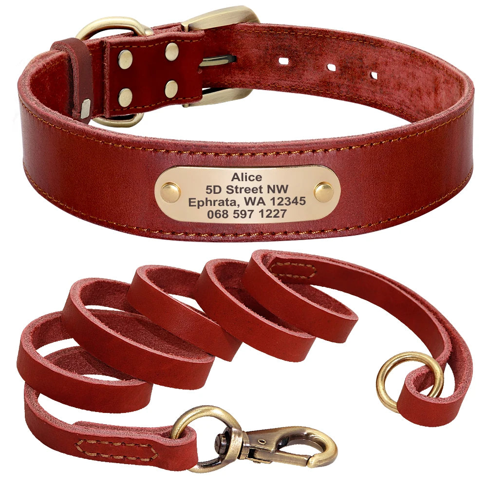 Personalized Leather dog Collar in Red