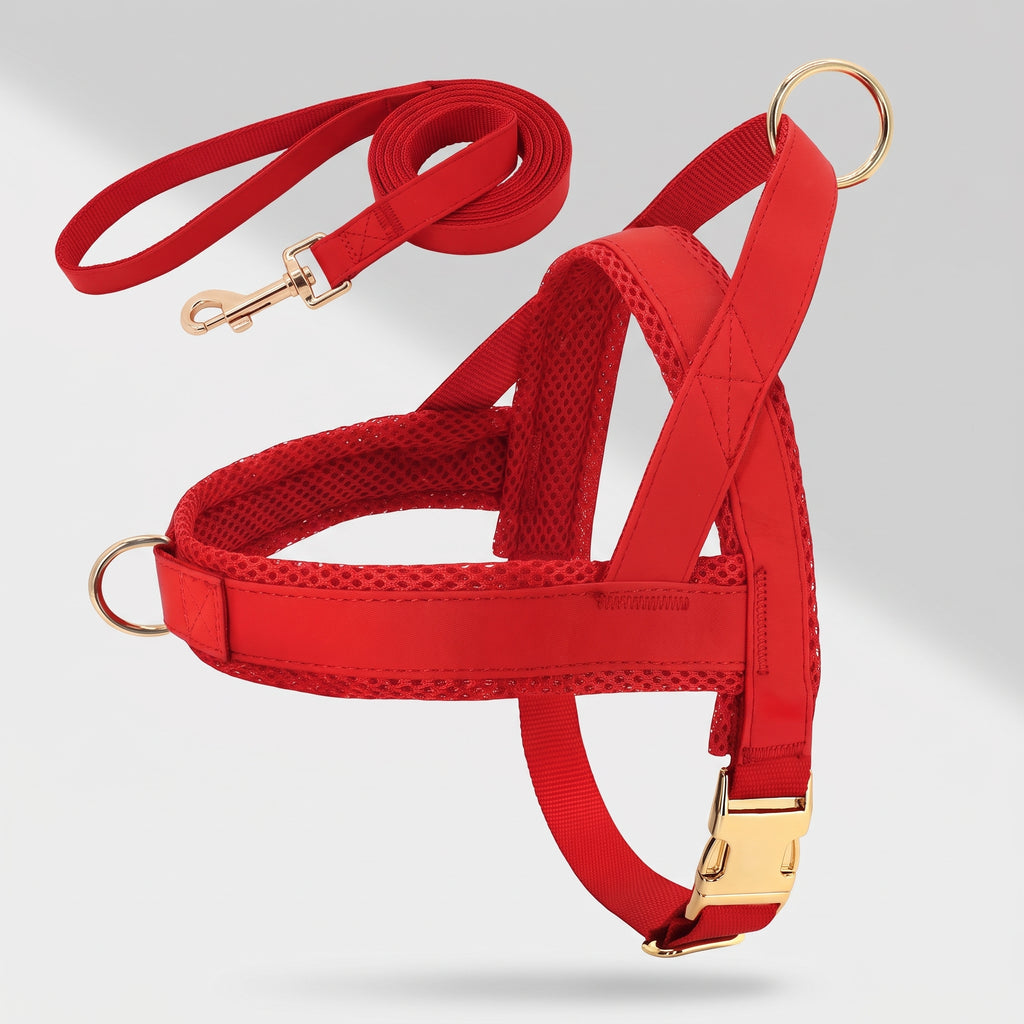 Personalized No Pull Dog Harness and Leash, studio photo on a light grey background