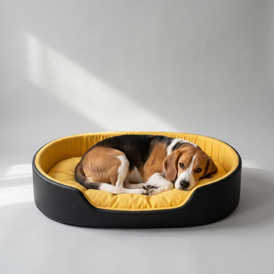 Supreme Softness for Ultimate Relaxation: Made with luxurious Sherpa fleece, our bed surrounds your pet with softness. It's a bed that invites your pet to step in, lie down, and fall in love with its plush comfort, helping them to calm down and enjoy restful sleep.