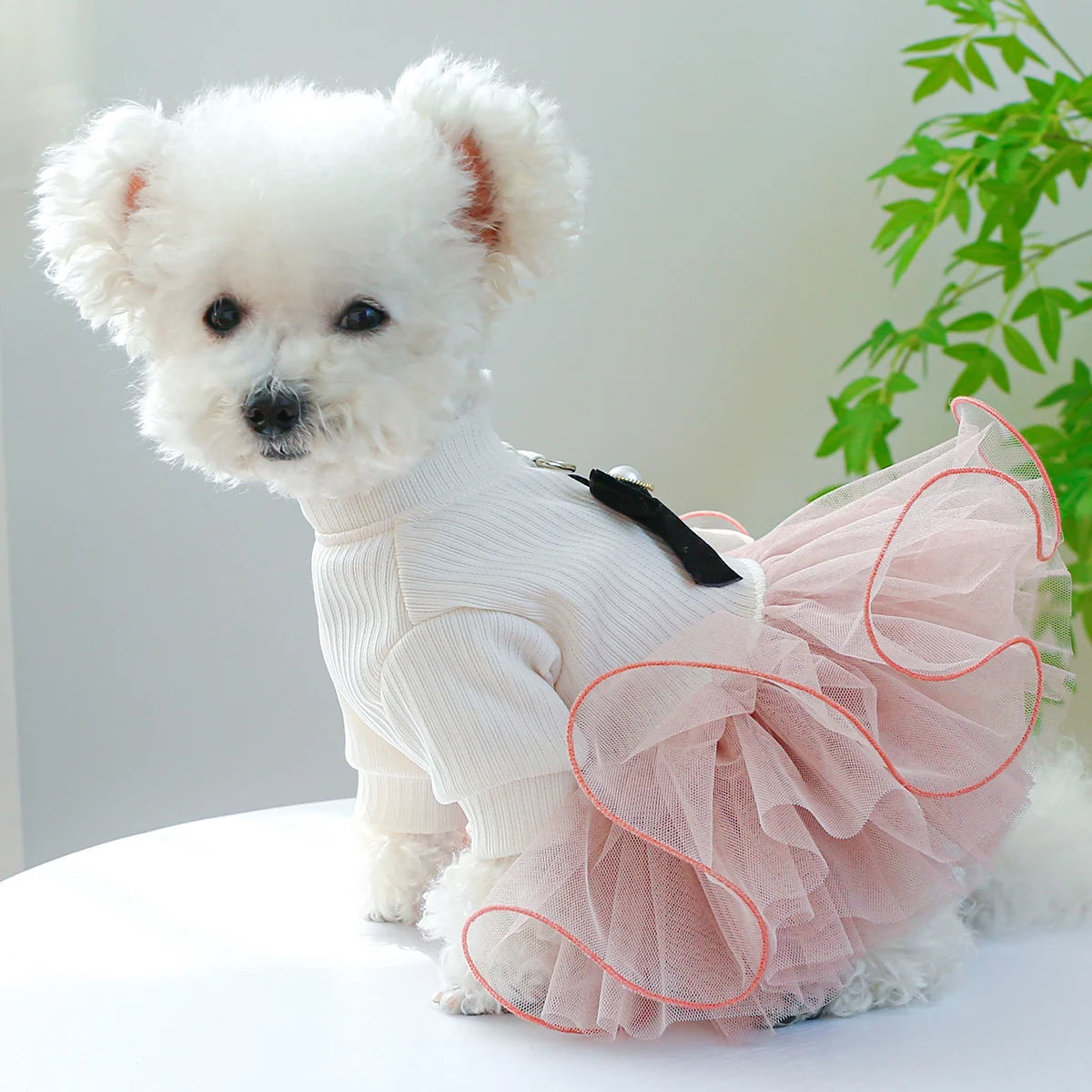 Pink Dog Dress
