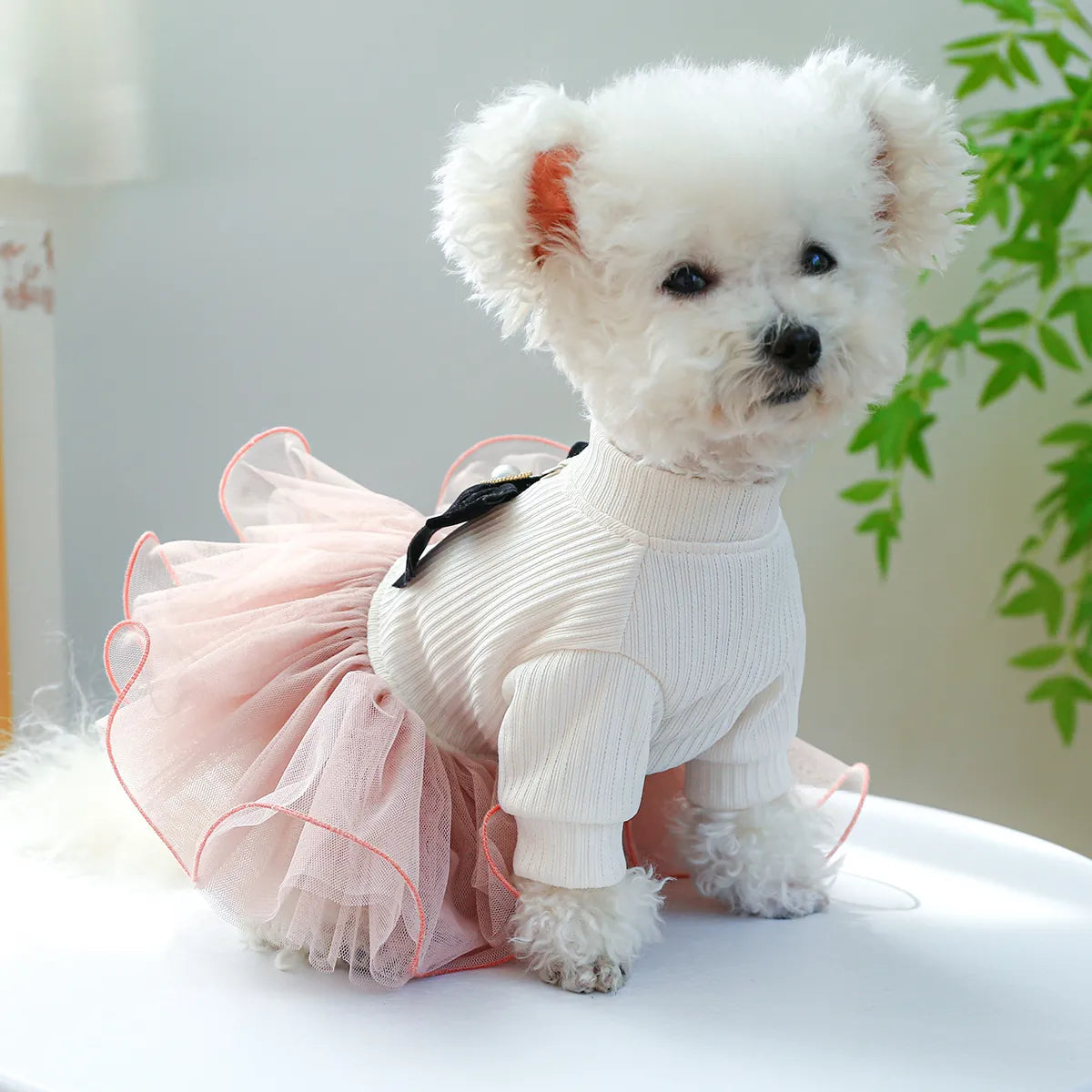 Pink Dog Dress