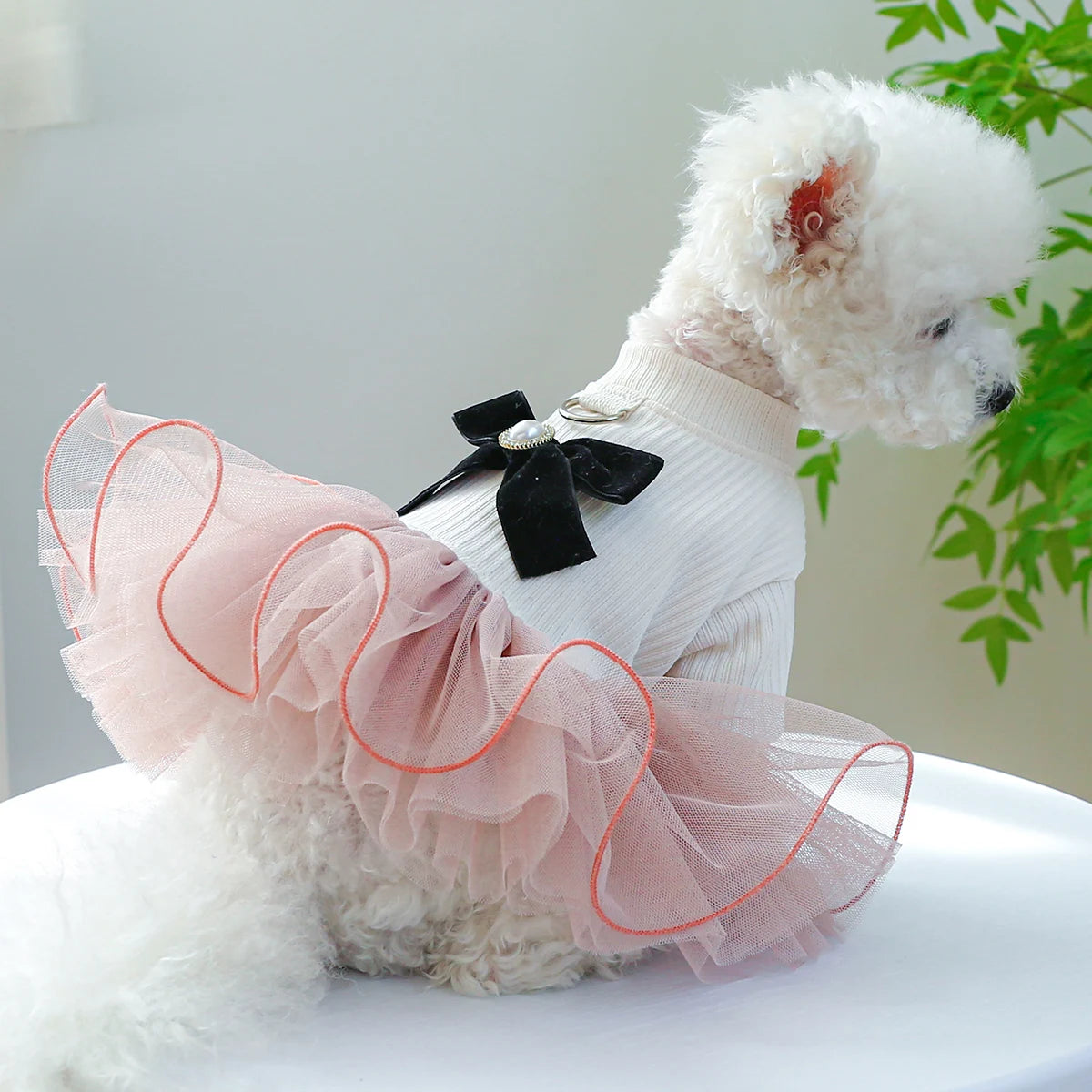 Pink Dog Dress