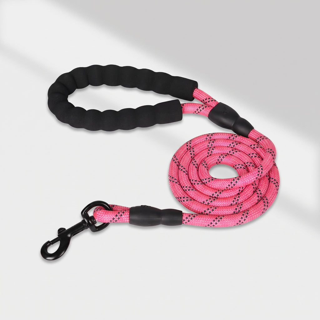 Pink Dog Leash, studio photo on a light grey background