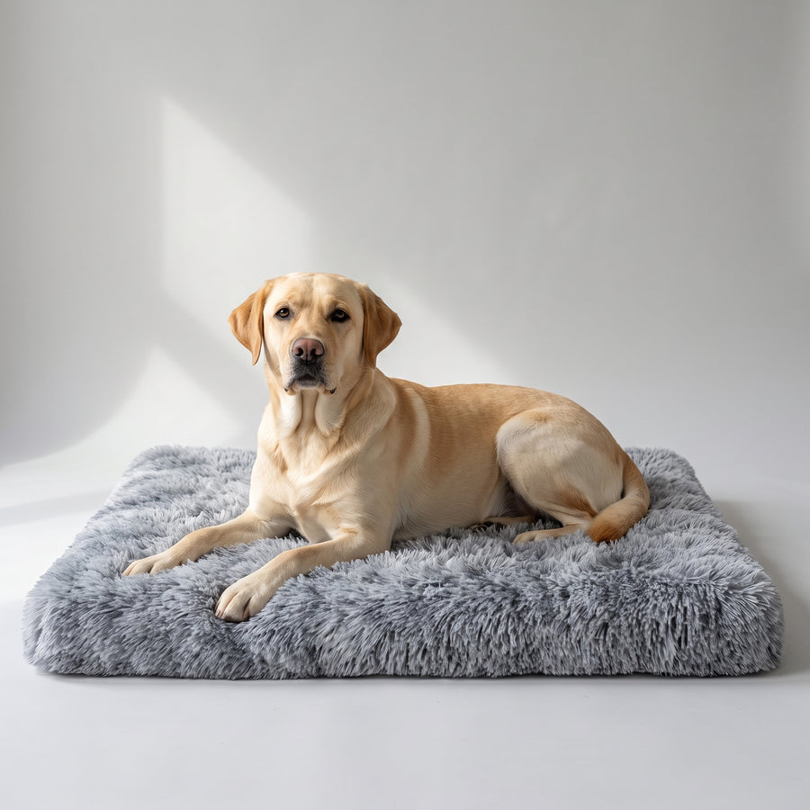 Non-slip Bottom: The bed has a non-slip bottom that keeps it in place, preventing any unwanted movement or slipping.