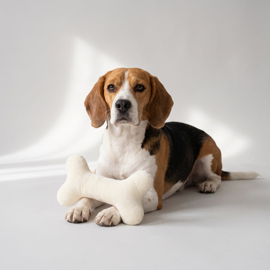 Toys Type: Chew Toys