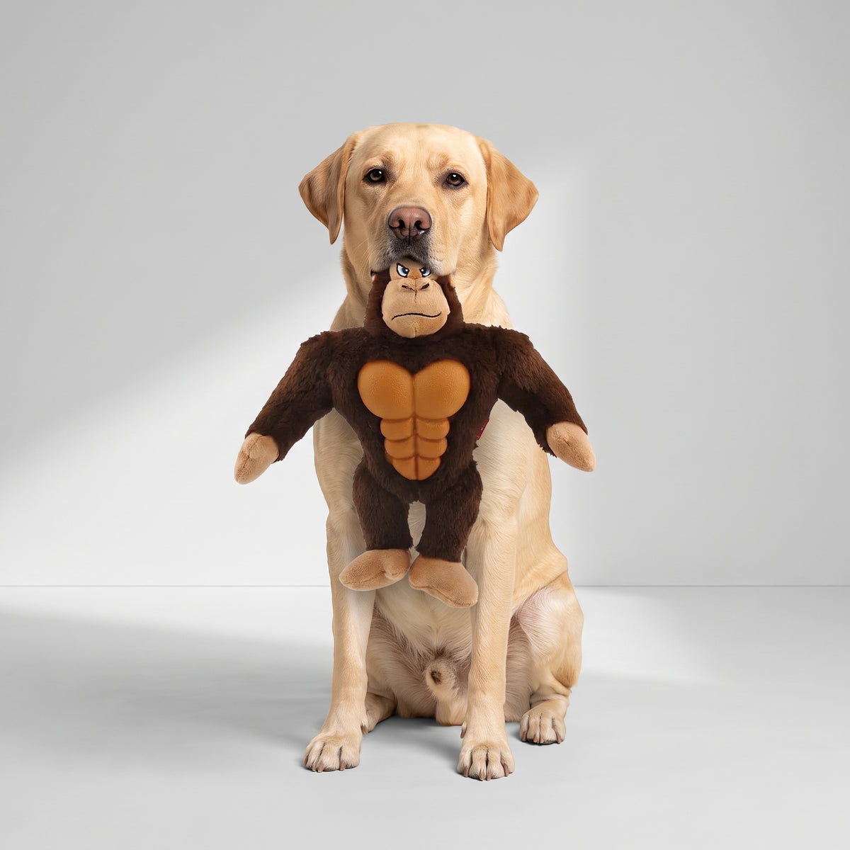 Plush Dog Toy with a Labrador, studio photo