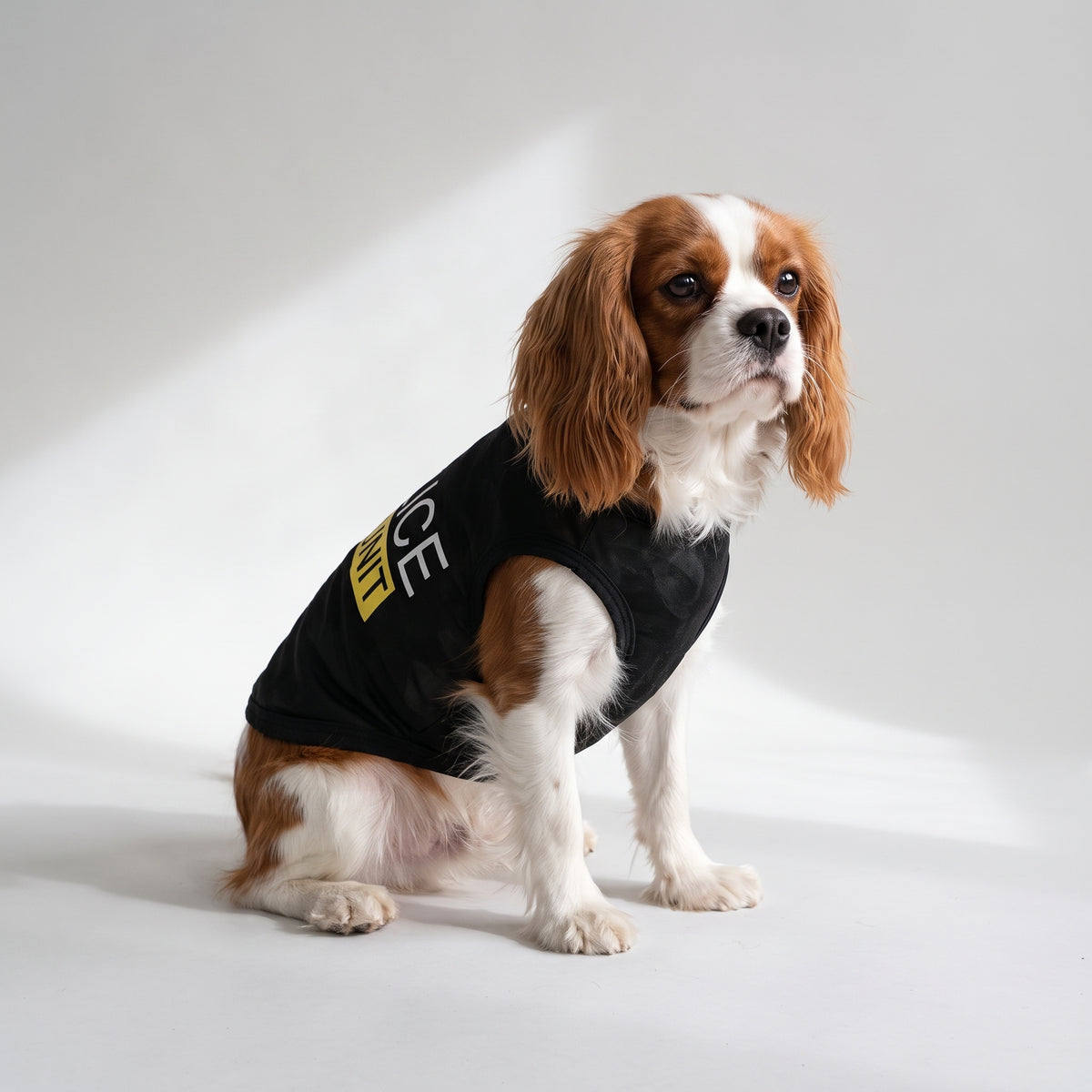 Police Dog vest with a Cavalier King Charles, studio photo