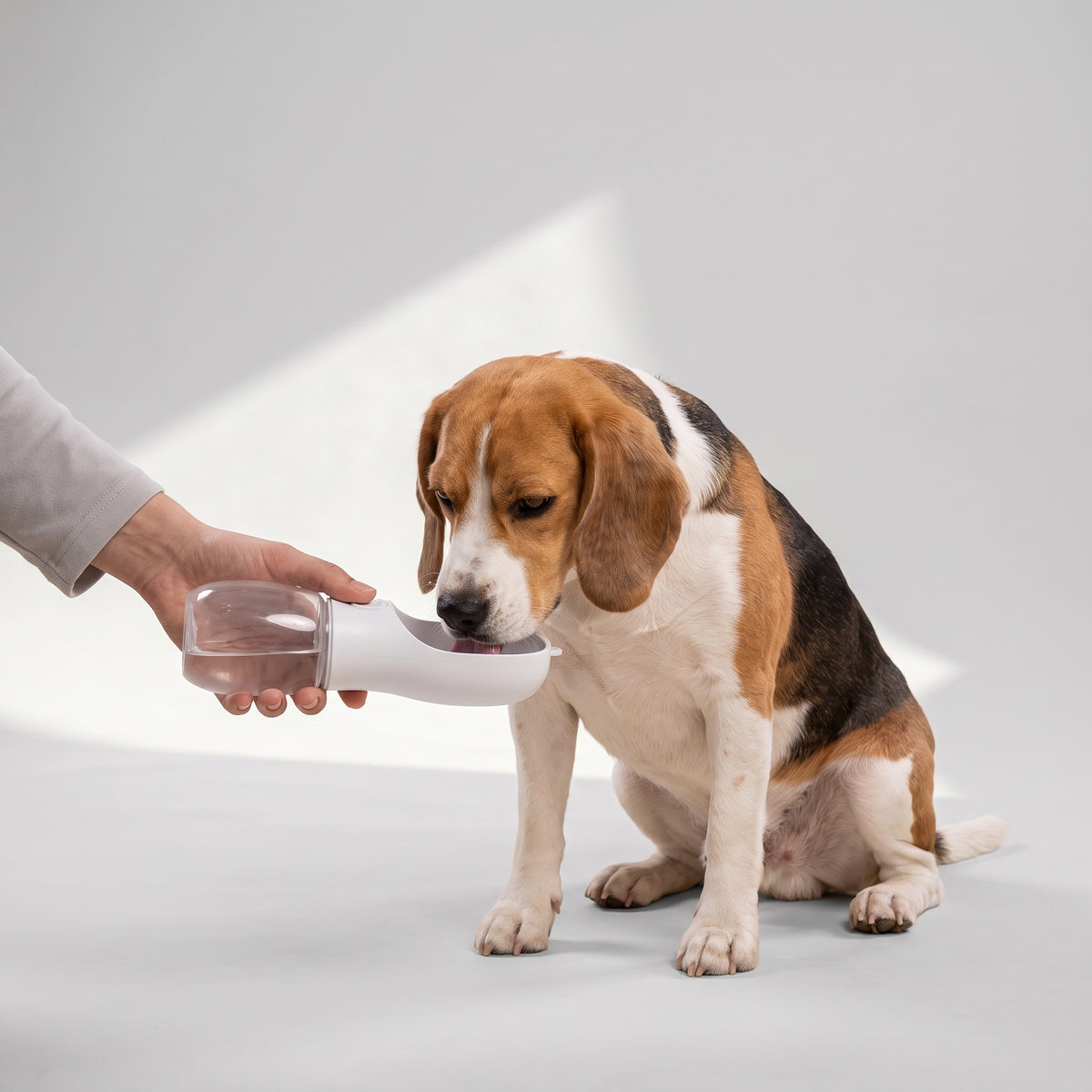 Portable Dog Water Bottle for Walks with a beagle, studio photo