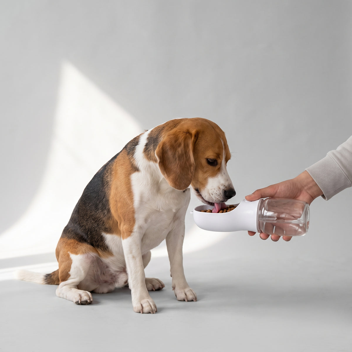 Dog Water Bottle with Food Container with a beagle, studio photo