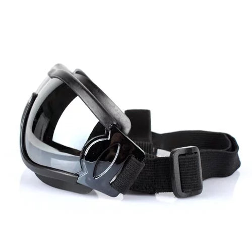 Protective Dog Glasses