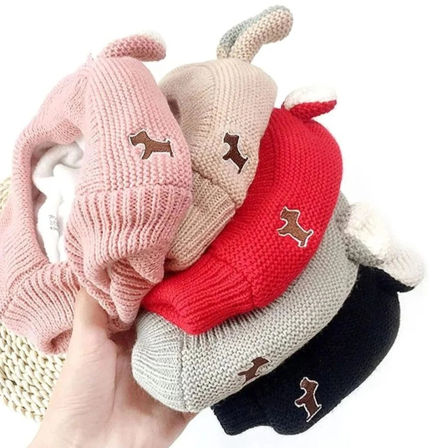 Rabbit ears Dog Winter Hat