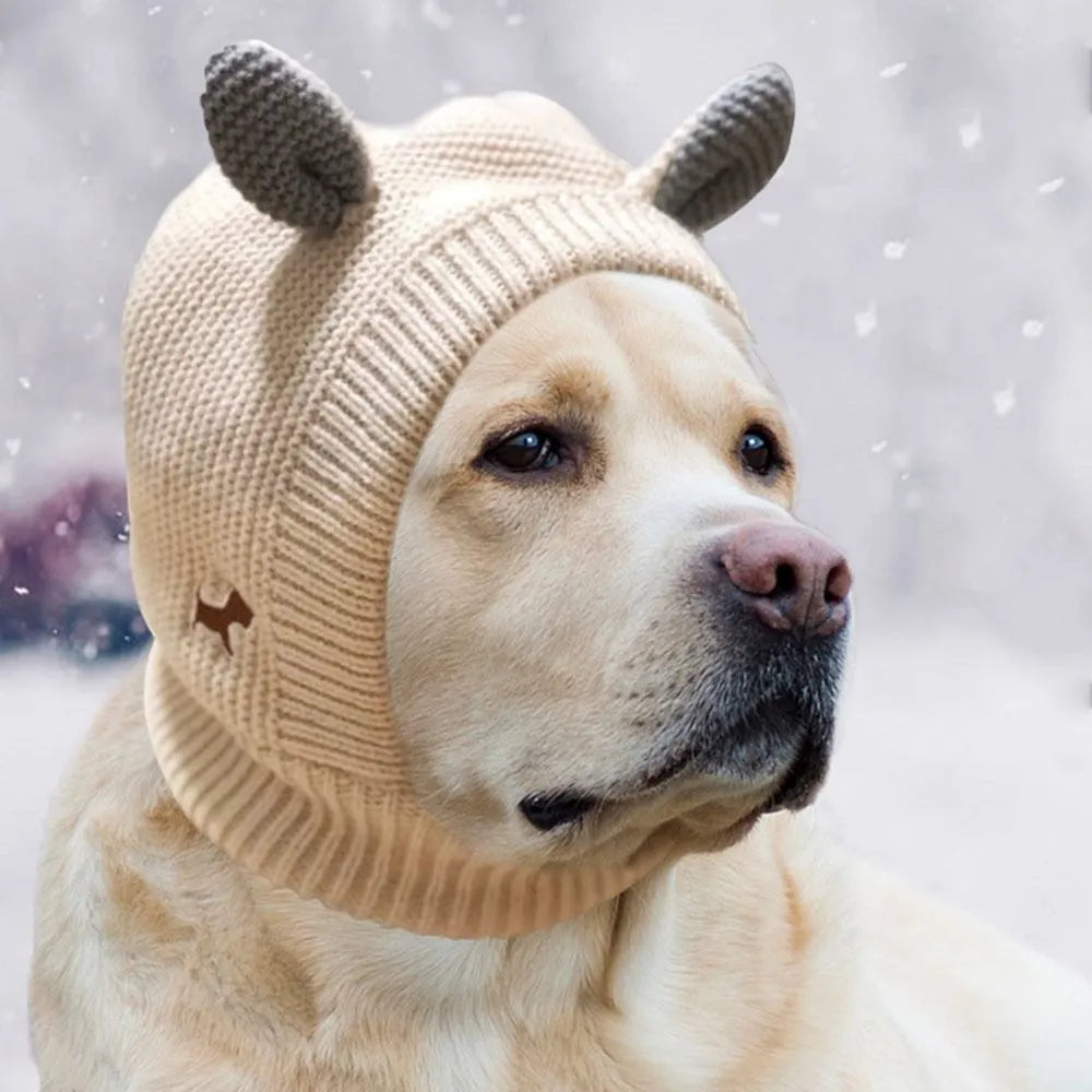 Rabbit ears Dog Winter Hat