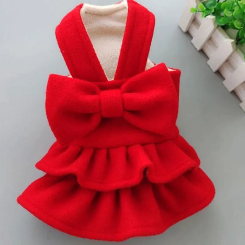 Red Dog Dress in Indoor