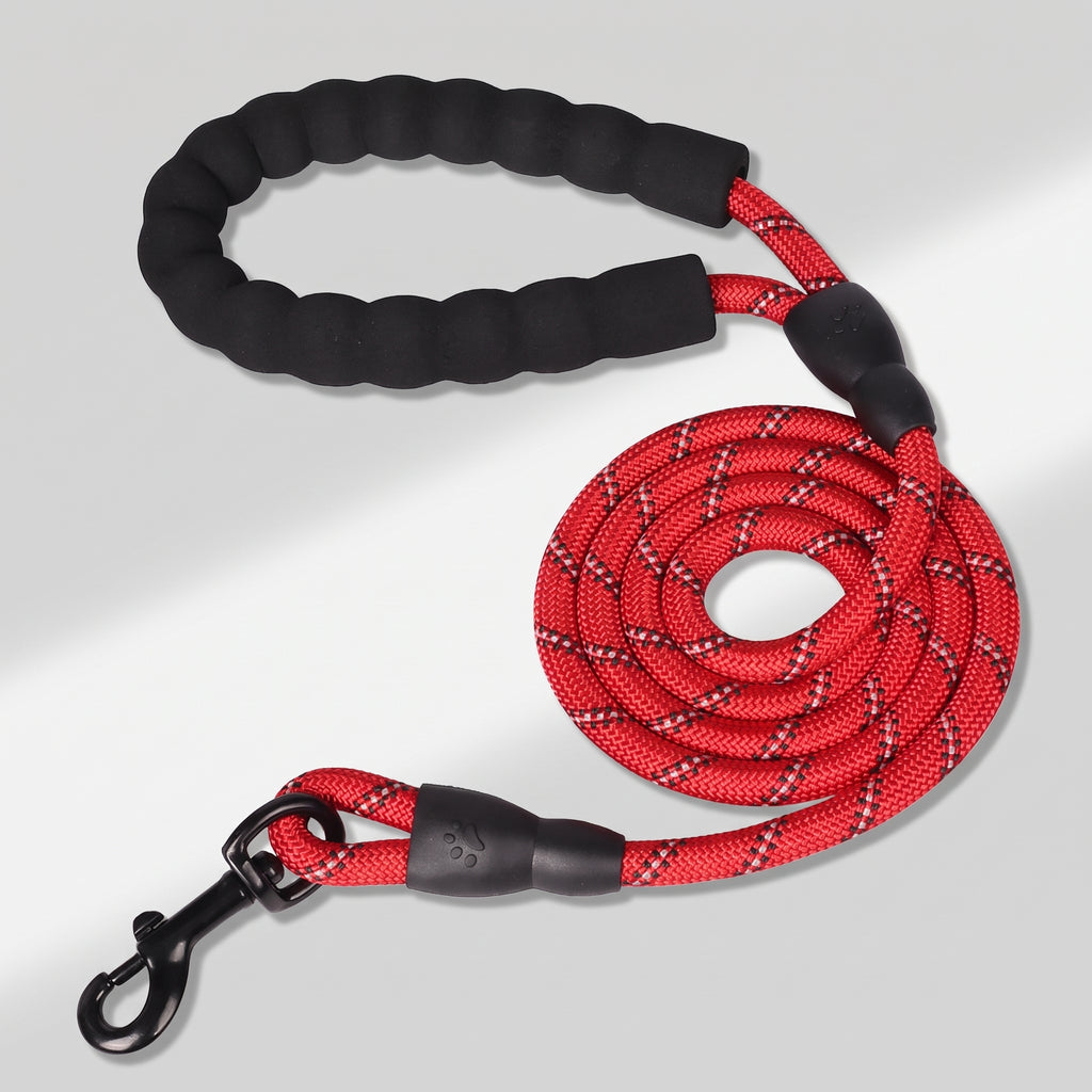 Red Dog Leash, studio photo on a light grey background