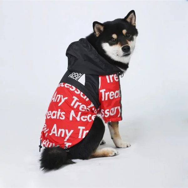 Red Dog Raincoat