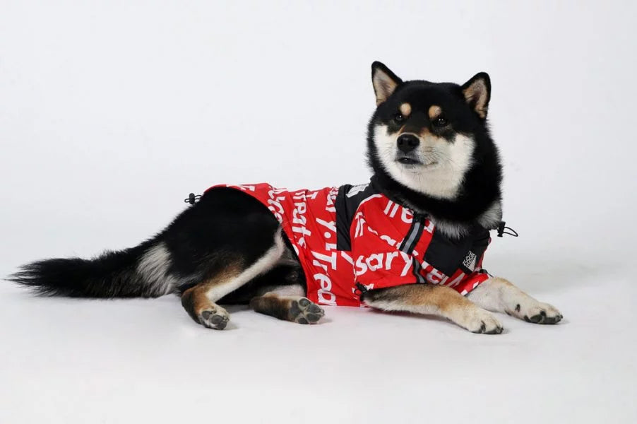 Red Dog Raincoat
