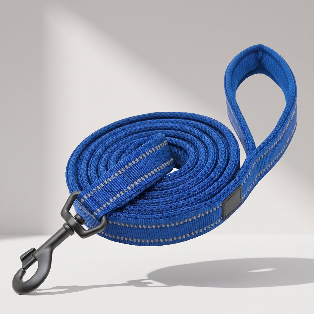 Reflective Dog Leash, studio photo on a light grey background