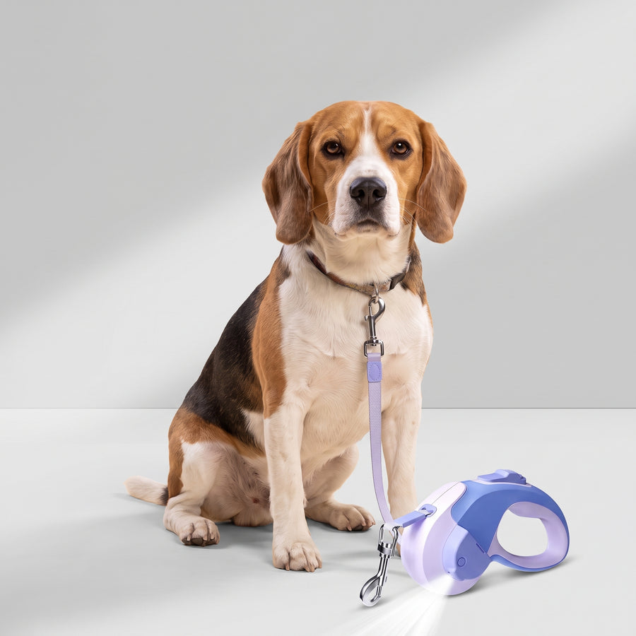 Automatically retractable and equipped with LED light for enhanced visibility