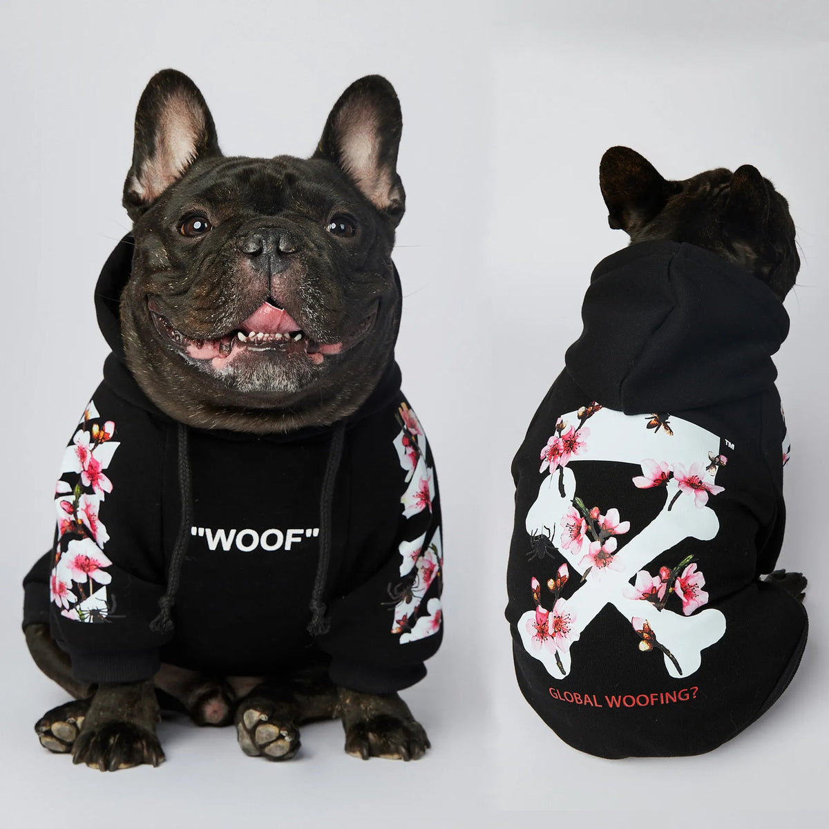 Sakura Dog Hoodie｜Hayden²