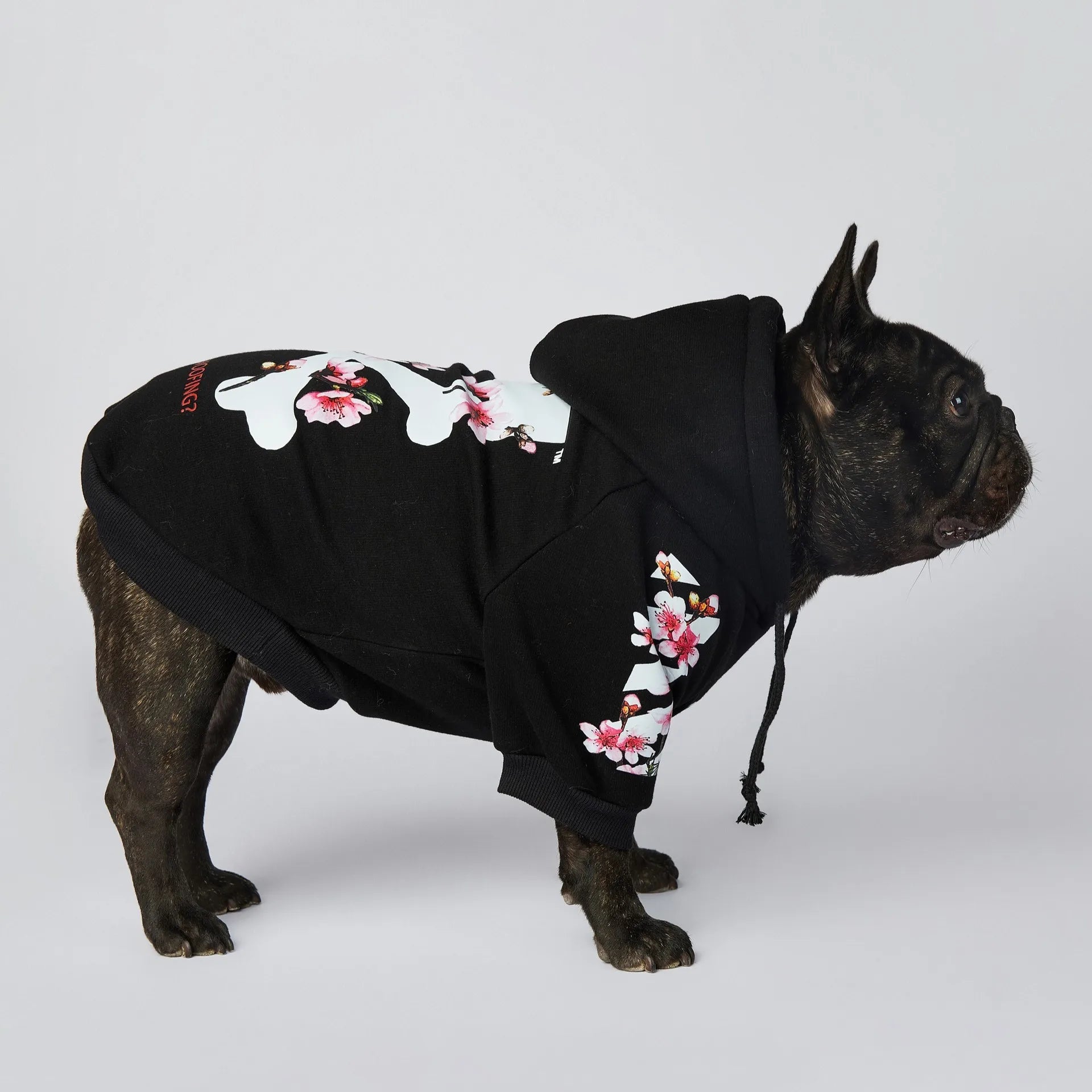 Sakura Dog Hoodie｜Hayden²
