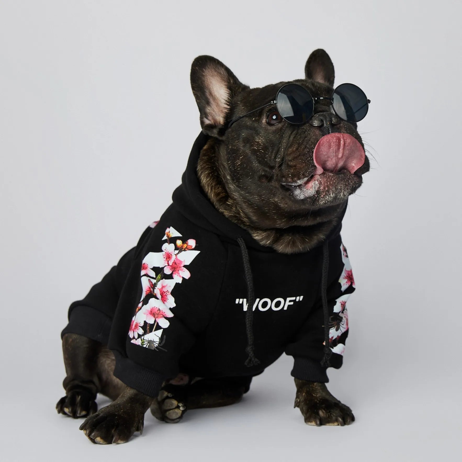 Sakura Dog Hoodie｜Hayden²