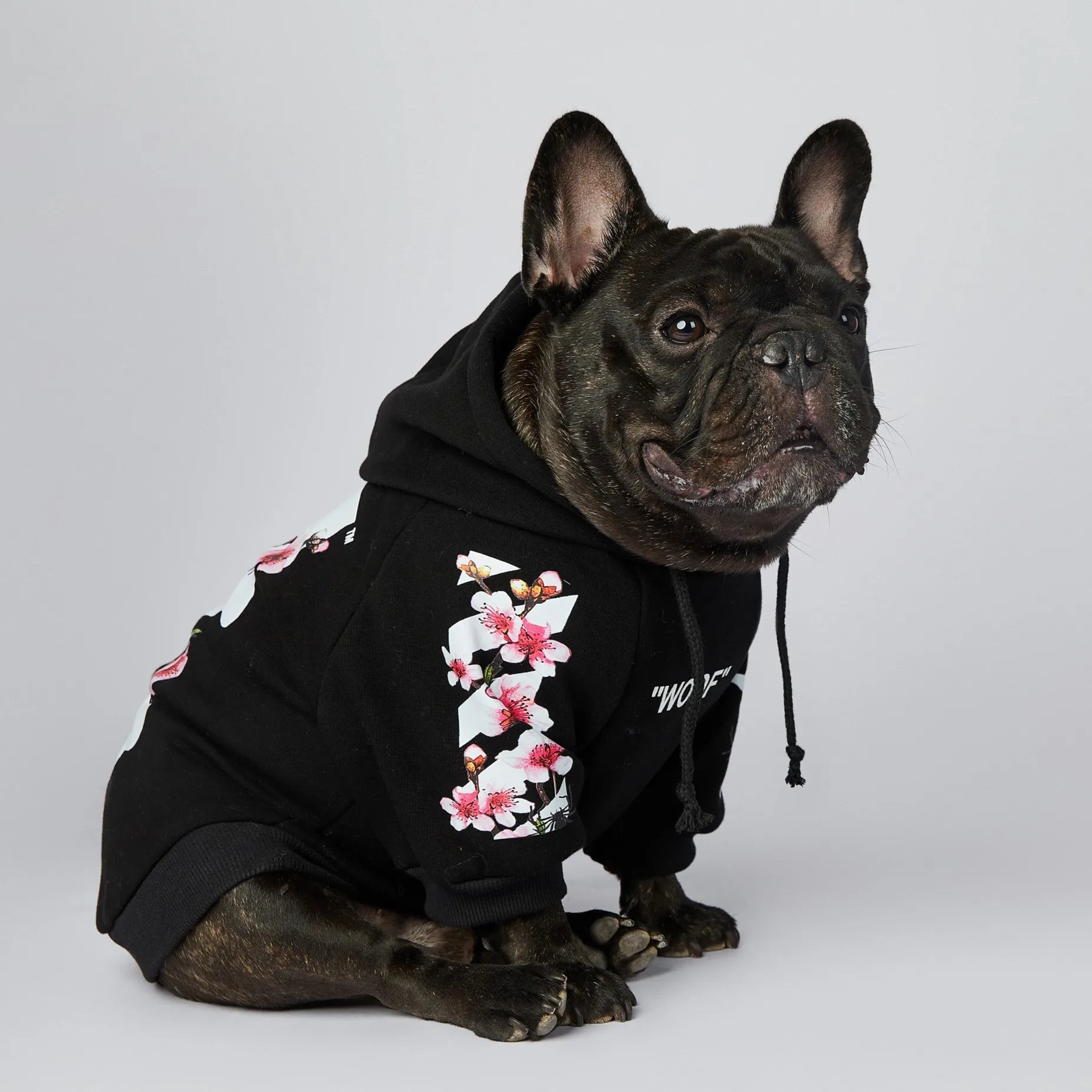 Sakura Dog Hoodie｜Hayden²