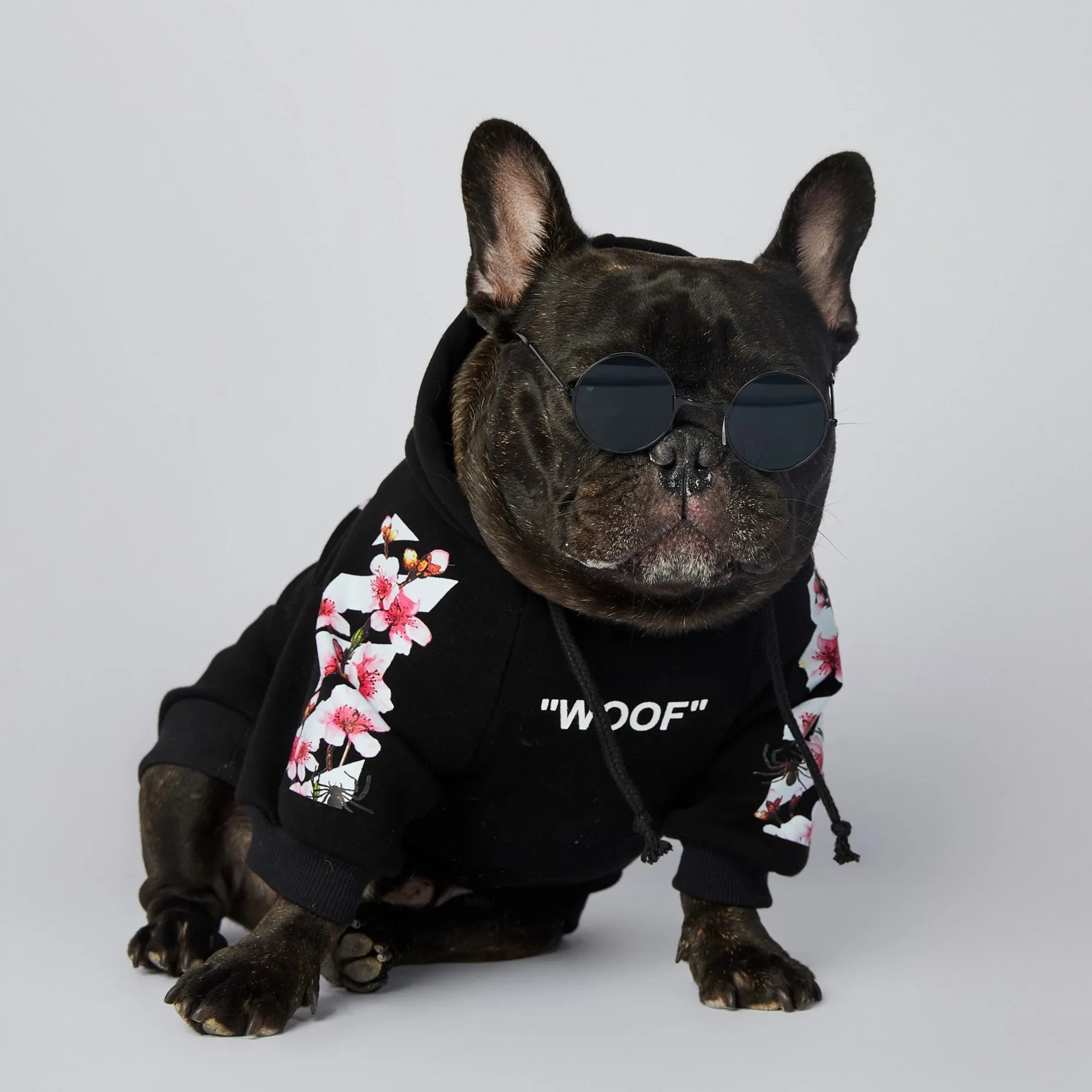 Sakura Dog Hoodie｜Hayden²