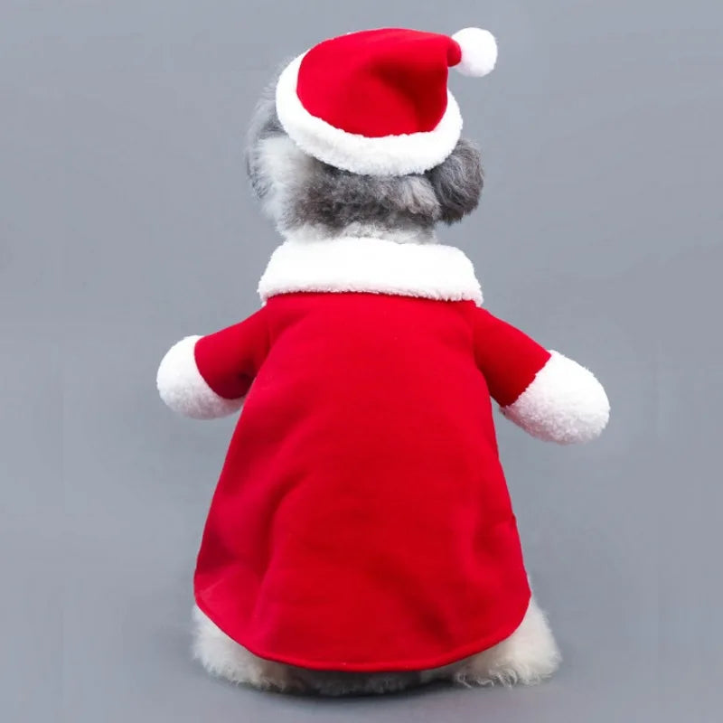 Santa Claus Dog Costume