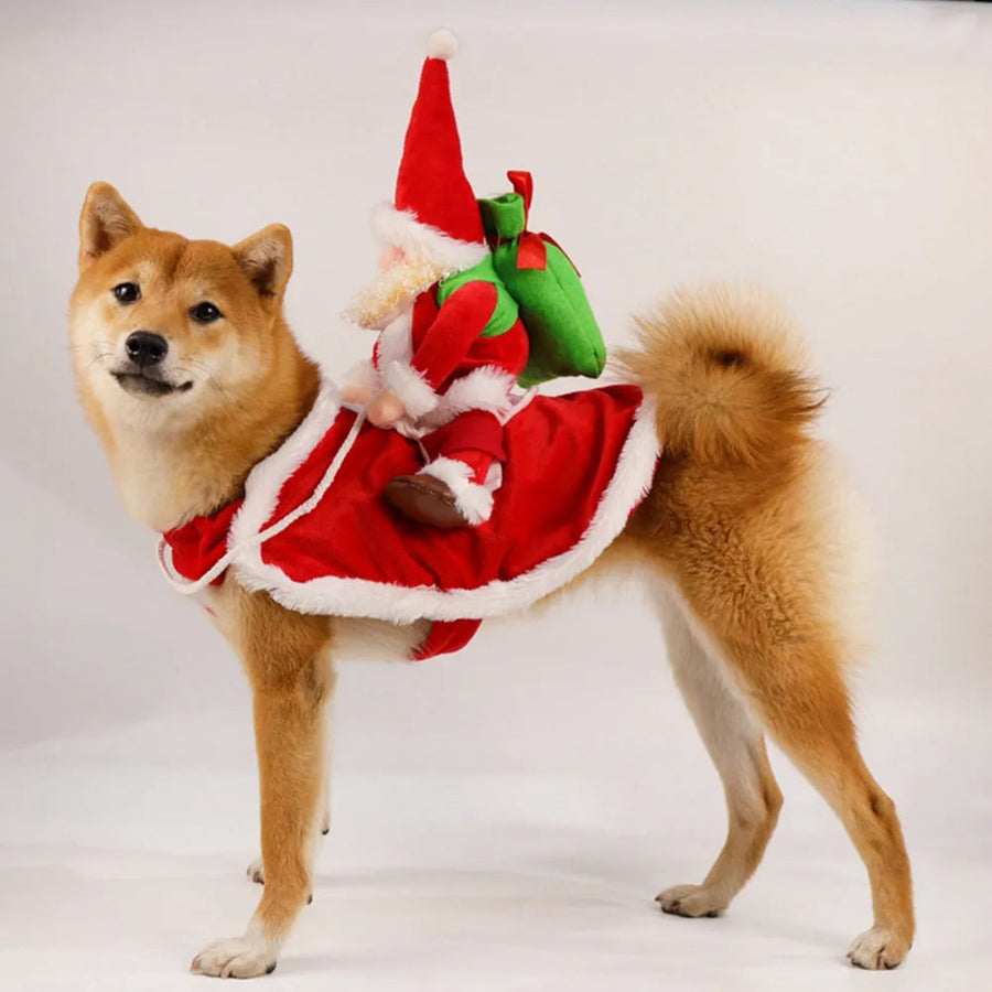 Durable and wear-resistant: With exquisite craftmanship, this costume is designed to be durable and wear-resistant, making it easy to maintain.