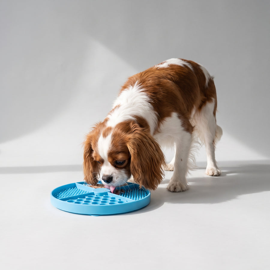 Designed specifically for dogs