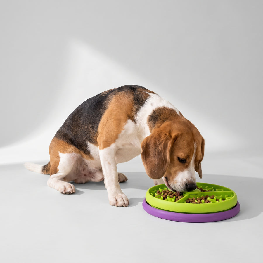 High Quality and Safe: Made of high-quality PP material with smooth rounded edges for a worry-free eating experience, suitable for medium and large dogs as well as cats.