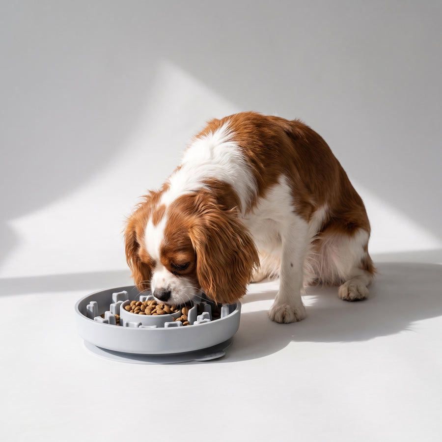 Innovative Design: The bottom suction cup design effectively keeps the slow feeder from moving or tipping over while your dog eats. The soft silicone material ensures that it is gentle on your pet's nose.