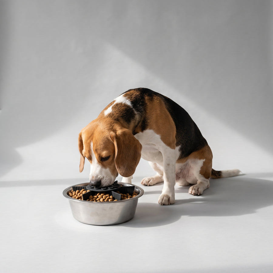 Item Type: Food storage