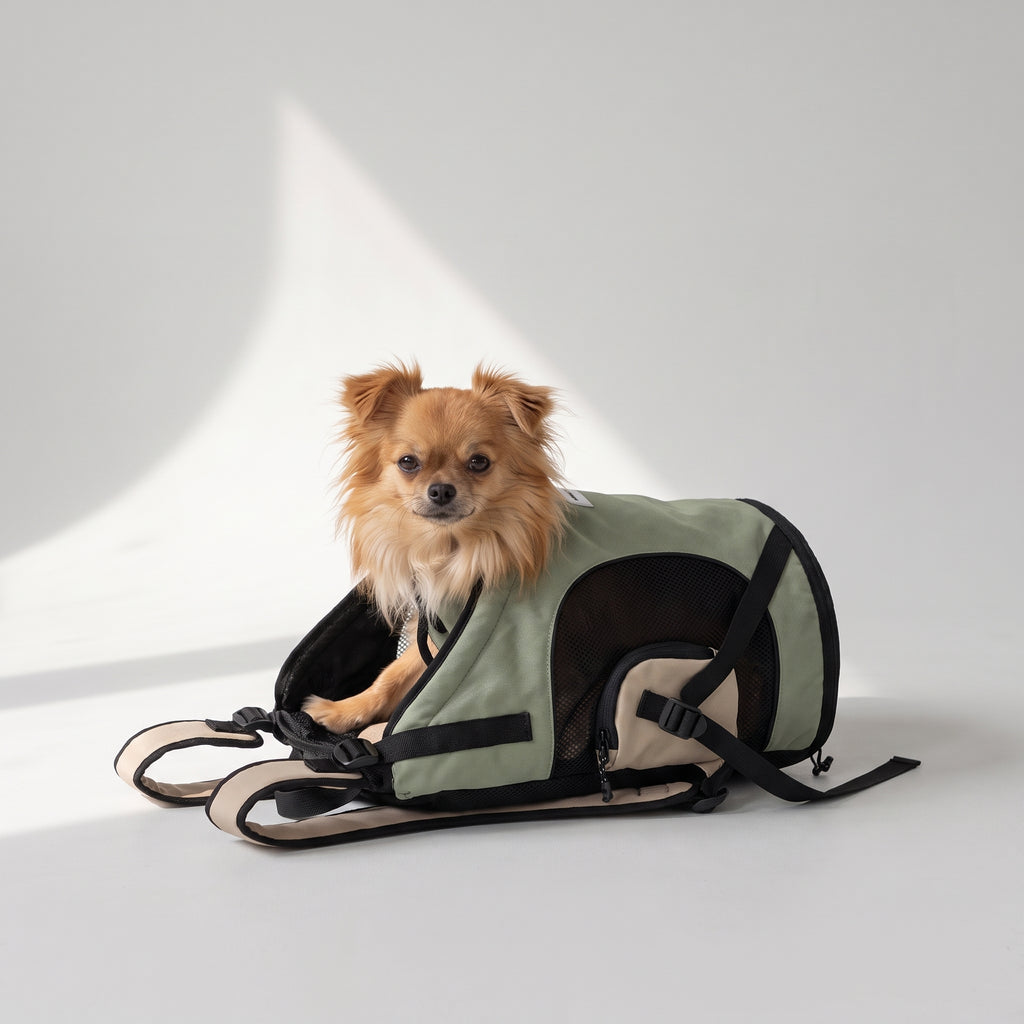 Small Dog Backpack Carrier with a chihuahua, studio photo