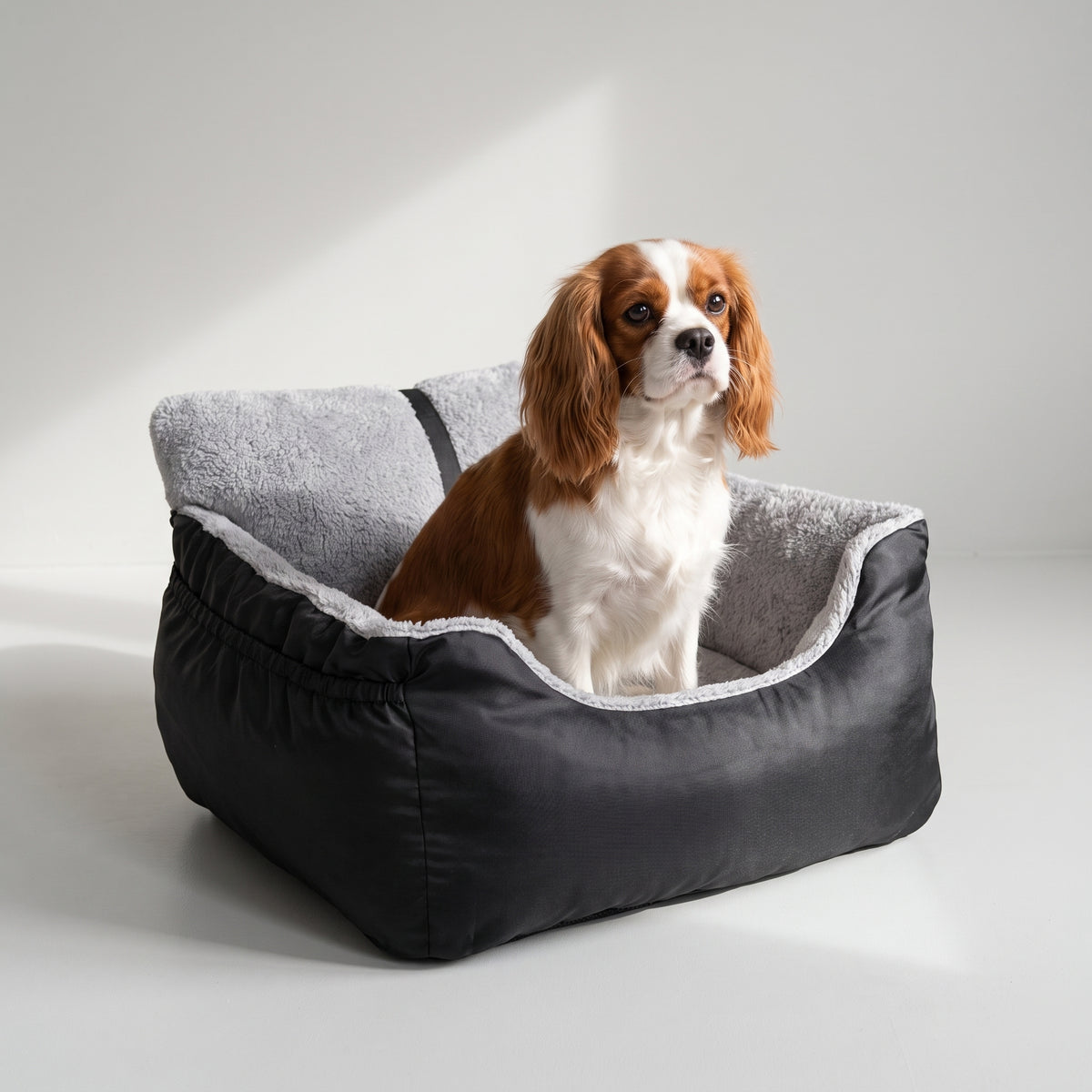 Small Dog Car Seat, 55 x 50 x 35 cm with a Cavalier King Charles, studio photo