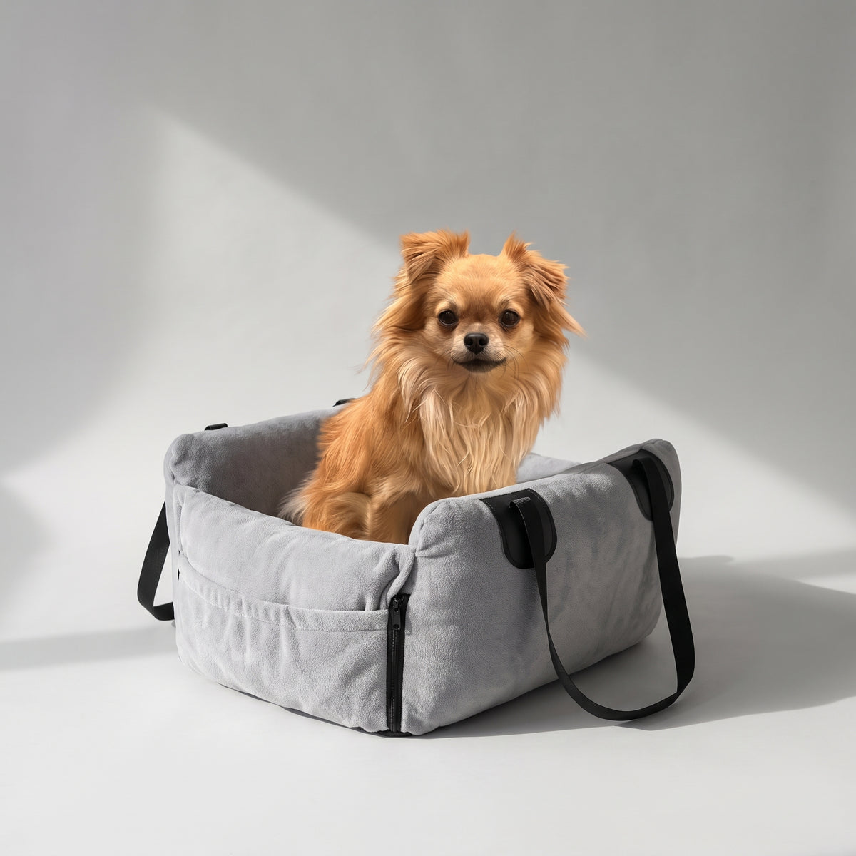 Warm Small Dog Car Seat, White or Gray with a chihuahua, studio photo
