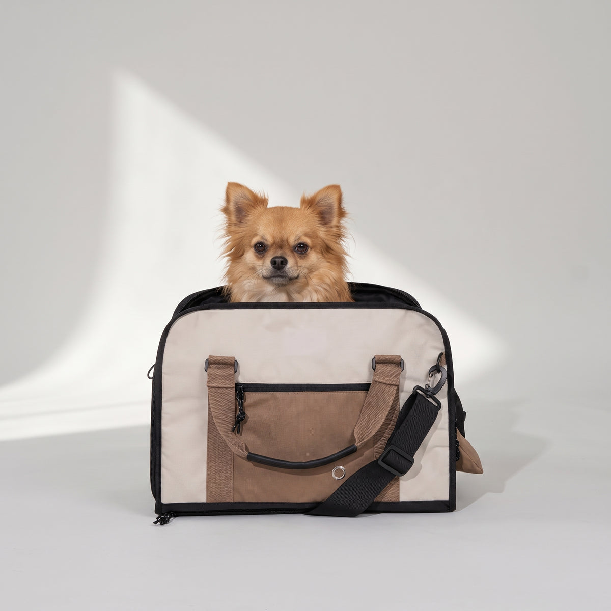 Small Dog Carrier Bag with a chihuahua, studio photo